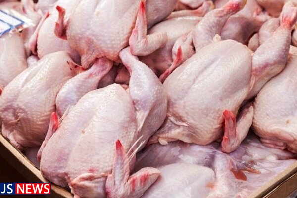 کیلوگرم مرغ - اصلاح قیمت مرغ در راستای افزایش نرخ مؤلفه‌های تولید است