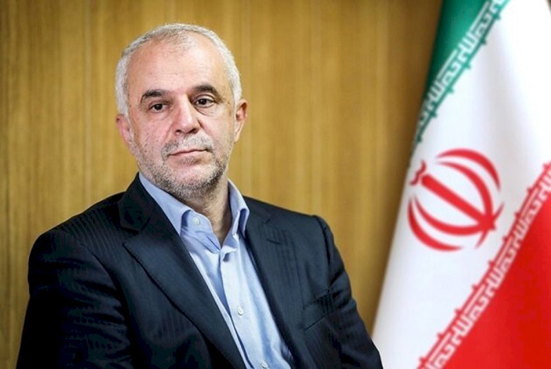 مشاور وزیر میراث‌فرهنگی در امور راهبردی