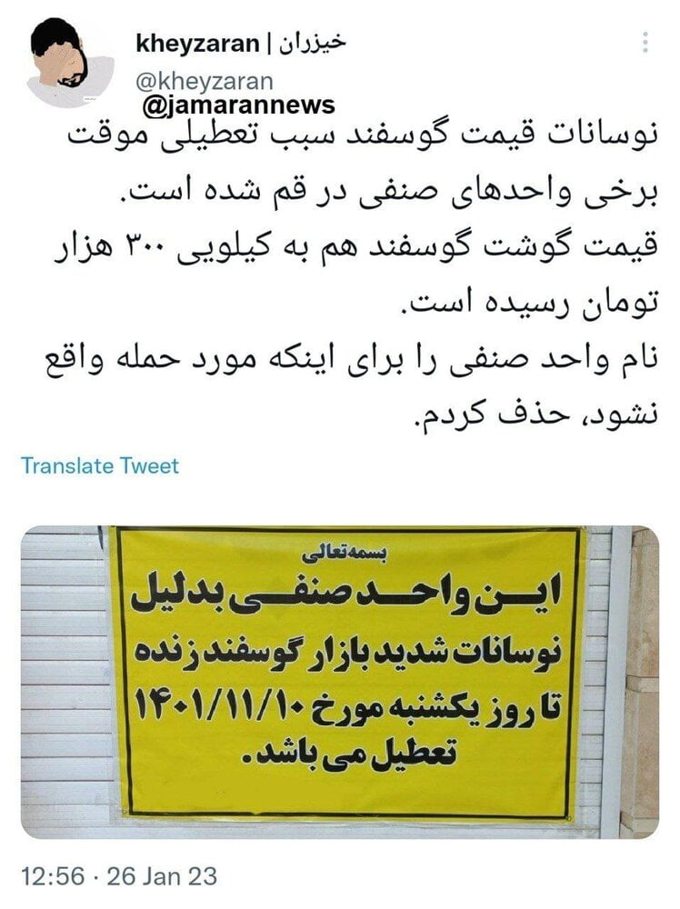 گوسفند زنده