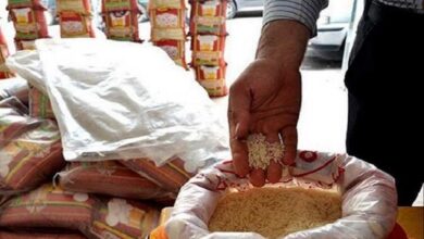برنج خارجی 390x220 - تنظیم بازار برنج خارجی به بخش خصوصی واگذار شد
