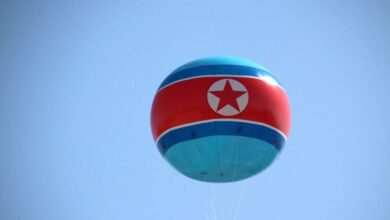 کپی برداری کره شمالی از روی دست چین