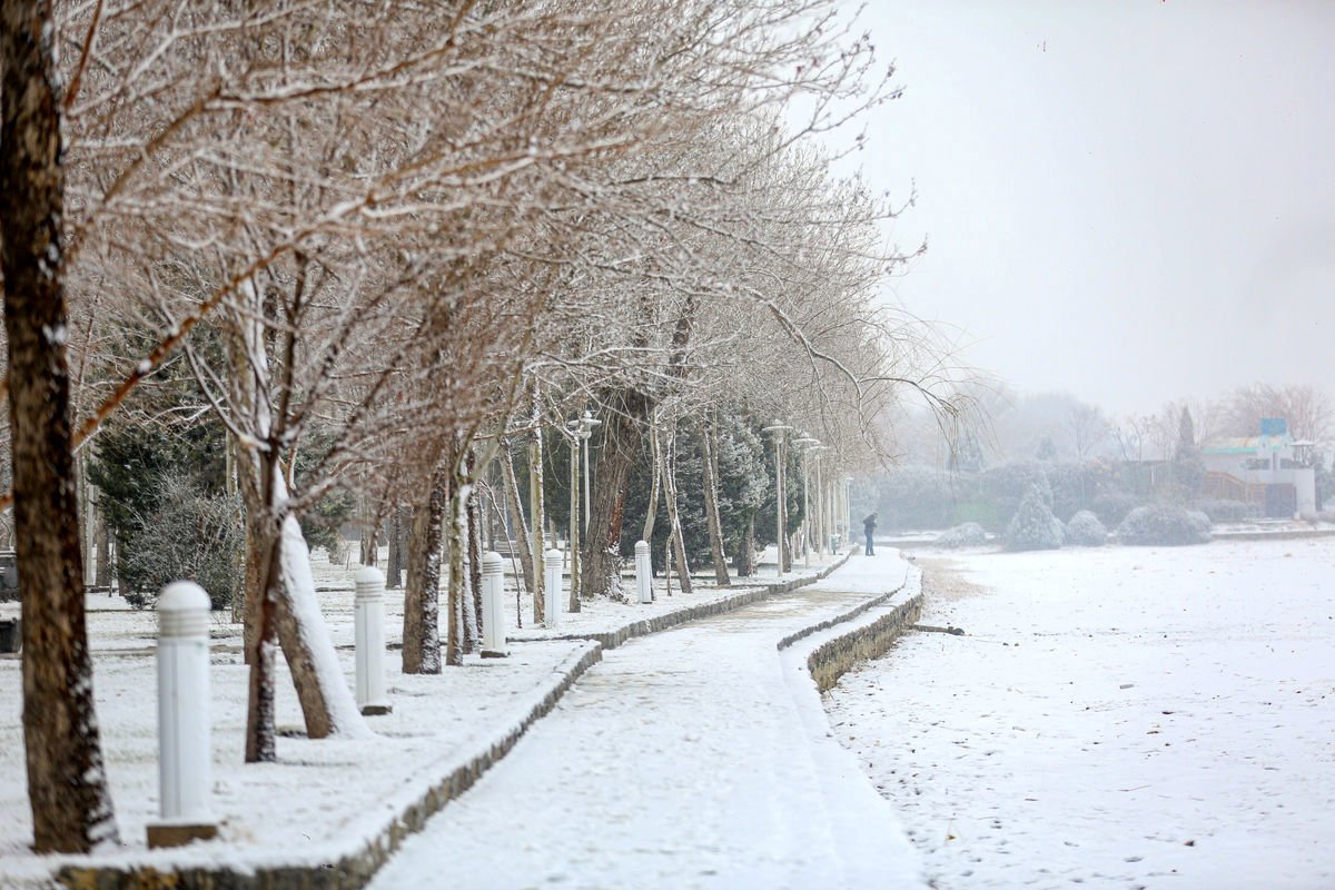 برف شدید تهران