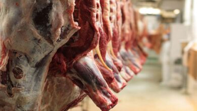 تولید سالانه گوشت قرمز در ایران
