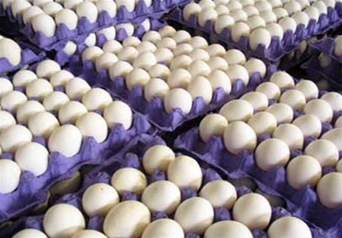 تولید تخم مرغ به یک میلیون و ۱۵۰ هزار تن رسید