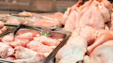 قیمت مرغ در اولین روز ماه مبارک رمضان