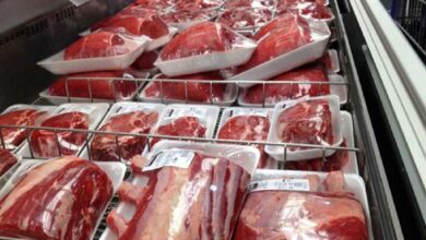 بازار گوشت به ثبات رسید
