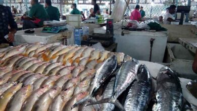 قیمت انواع ماهی شب عید