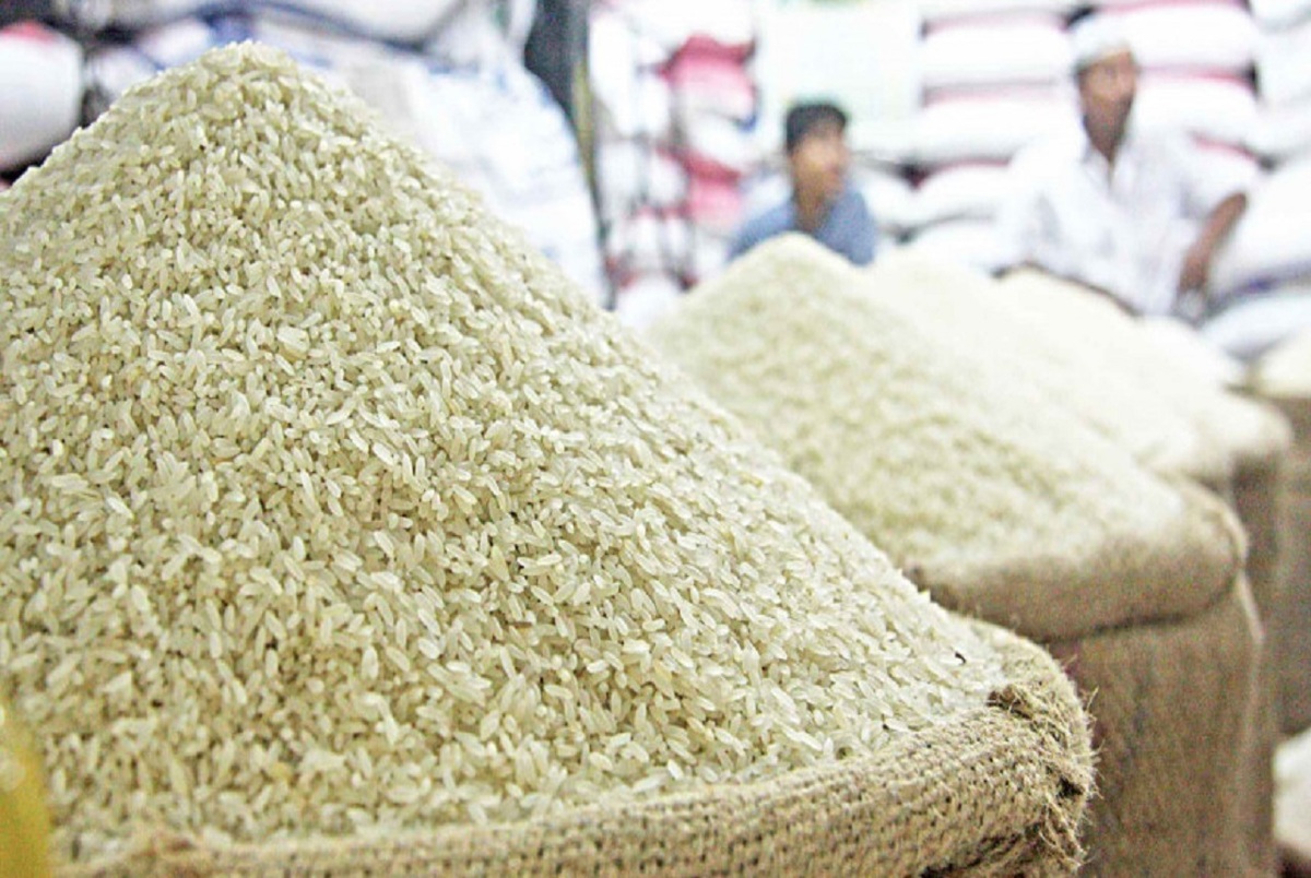 از شهریور ماه قیمت برنج ارزان می شود