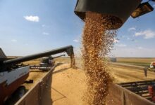 اصلاح قیمت خرید تضمینی گندم