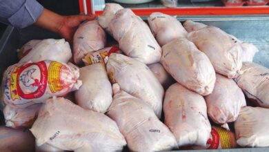 افزایش قیمت مرغ چقدر خواهد بود؟
