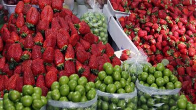 وضعیت بازار برای ورود میوه های تابستانه