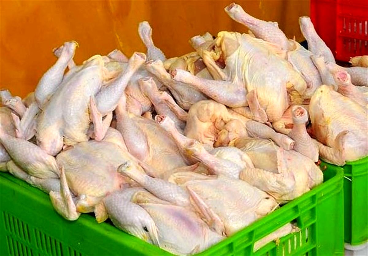صدور مجوز بهداشتی واردات گوشت گرم مرغ