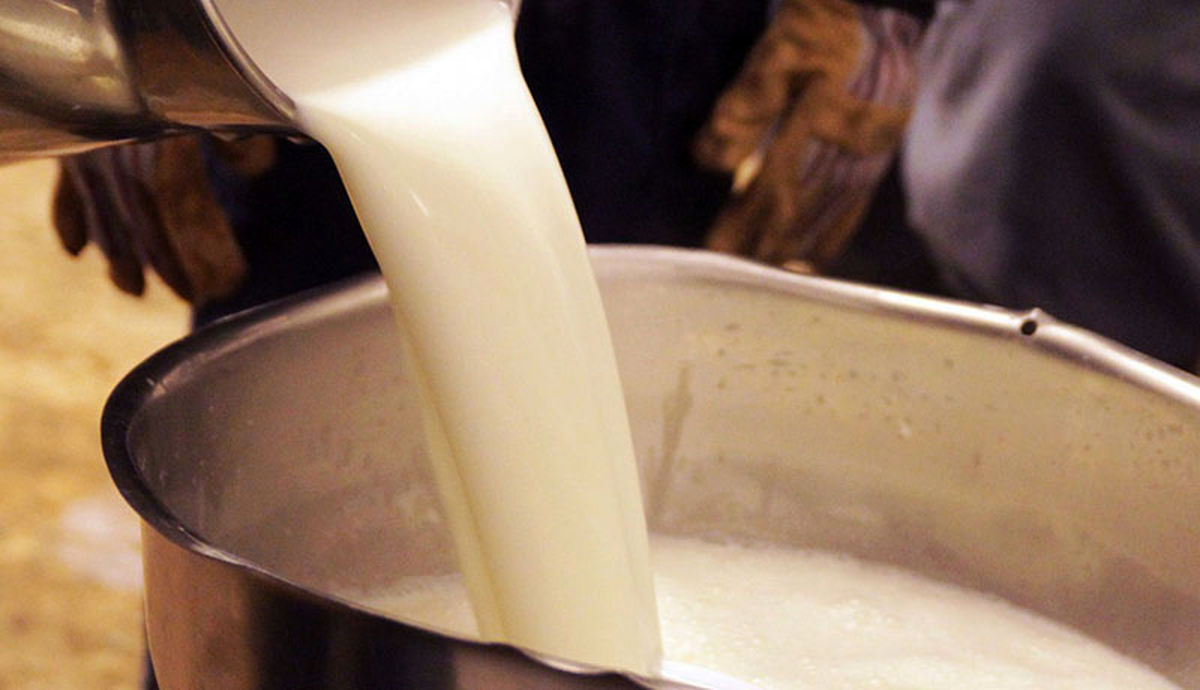 وزارت کشاورزی افزایش قیمت شیرخام را تصویب کرده است
