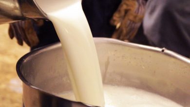 قیمت شیر خام اصلاح شد؟