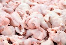 مرغ های آلوده بلاروسی به ایران رسیدند؟