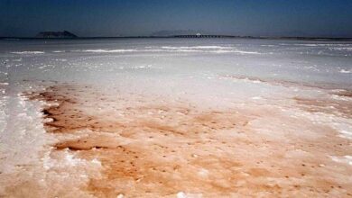دریاچه ارومیه 390x220 -  ۹ راهبرد جدید برای تسریع در نجات دریاچه ارومیه تصویب شد