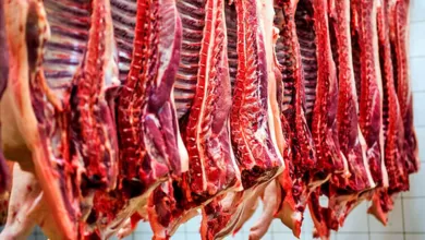 تغییرات قیمت گوشت قرمز+ جدول