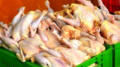چرا مرغ به قیمت بیش از نرخ مصوب عرضه می‌شود؟