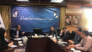 سازمان صمت استان نسبت به تعیین تکلیف معادن فلزی راکد اقدام کند
