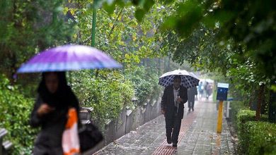 پیش بینی رگبار و بارش باران برای سه استان