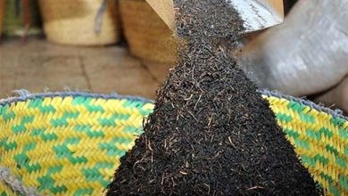 سقف قیمت و ثبت سفارش واردات چای از فردا چهارشنبه هفتم تیر