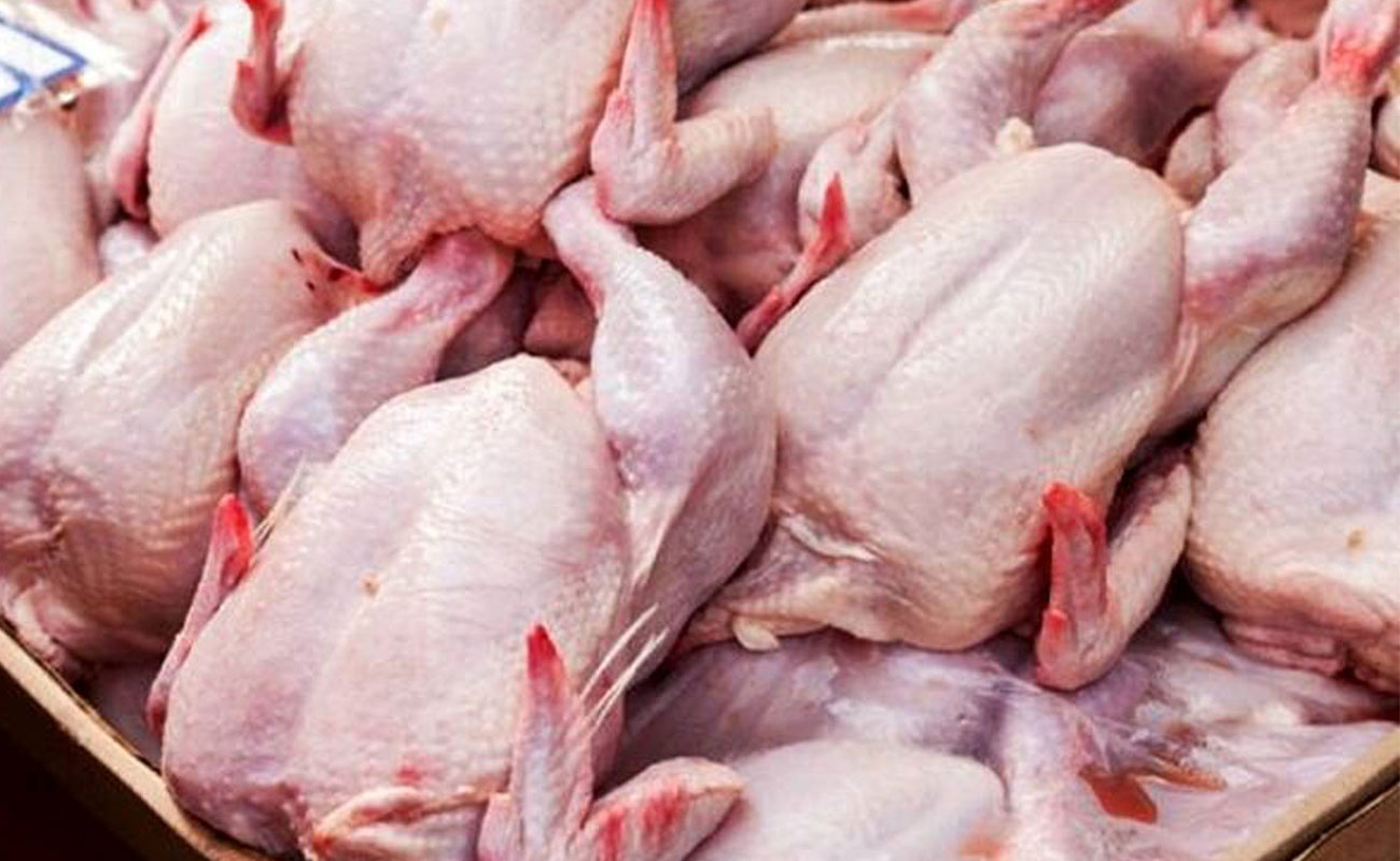 مصرف مرغ ایرانی ها ۱۲ درصد آب رفت