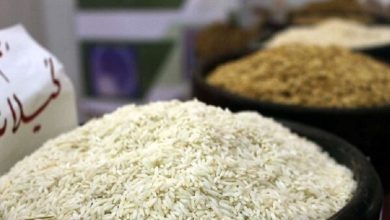 خرید توافقی برنج مازاد از امروز آغاز شد