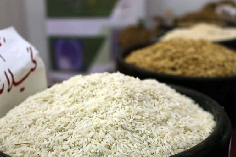 خرید توافقی برنج مازاد از امروز آغاز شد
