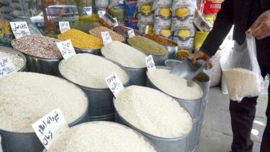 خرید برنج مازاد تولید شالیکاران مازندران