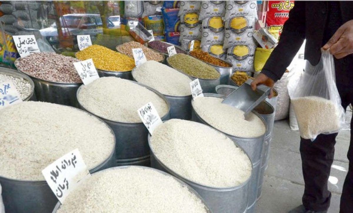 خرید برنج مازاد تولید شالیکاران مازندران