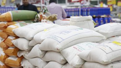 بودجه خرید برنج مازاد شمال کشور تامین شد