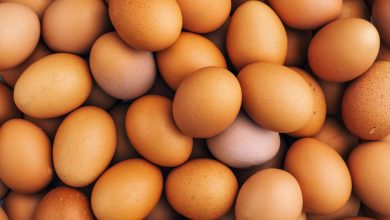قیمت هر شانه تخم مرغ محلی به حدود 200هزار تومان رسید