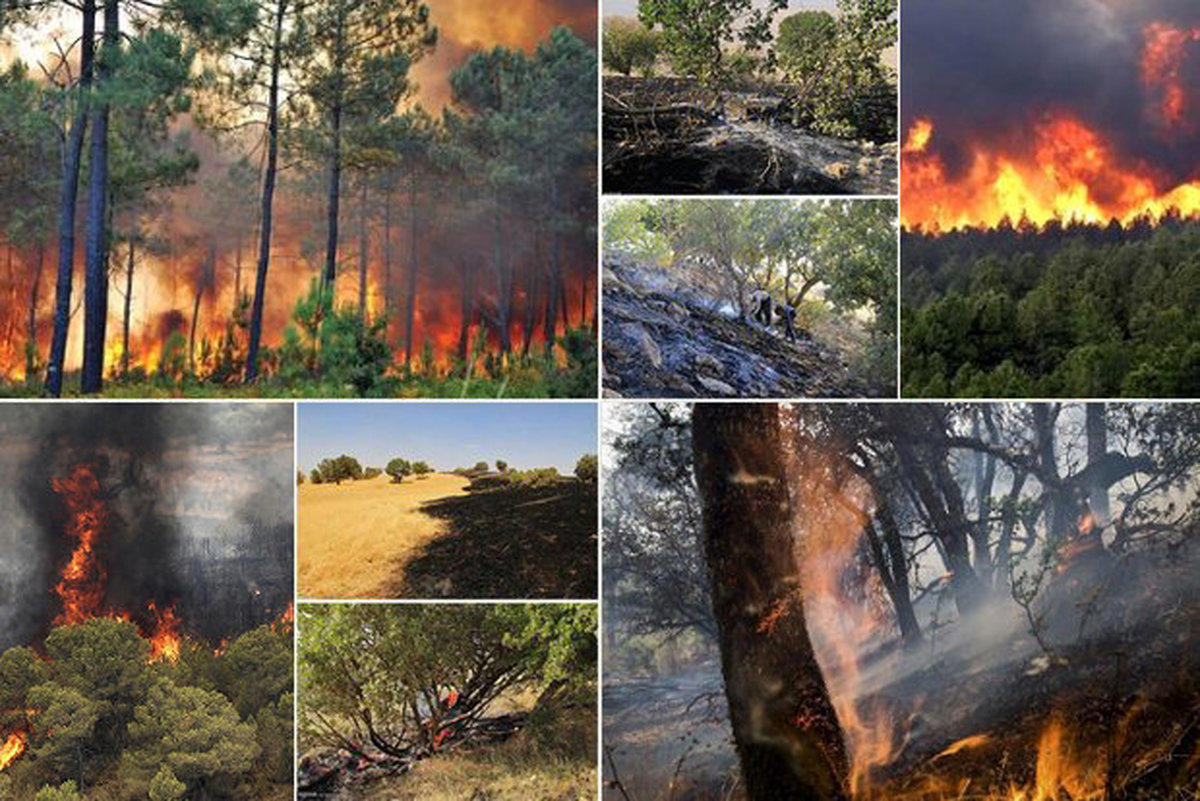 مهار آتش سوزی جنگل های مریوان پس از سه روز