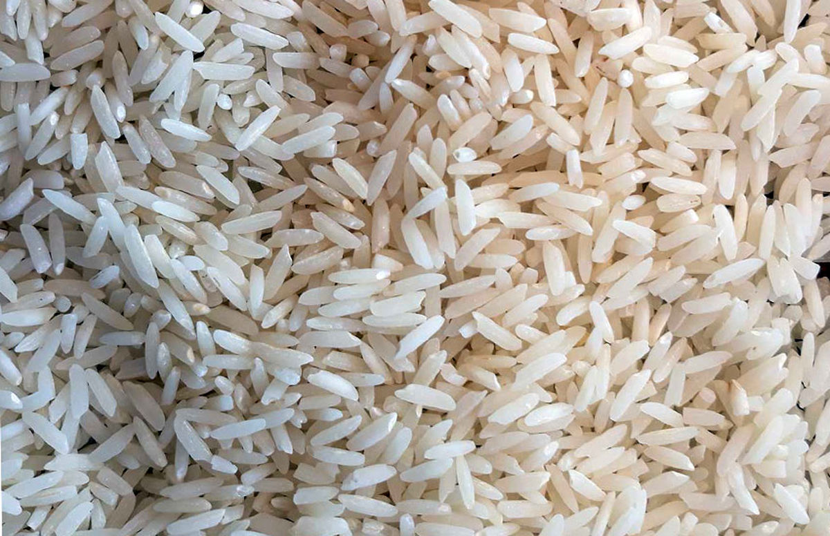 جهش شدید قیمت برنج در راه است؟