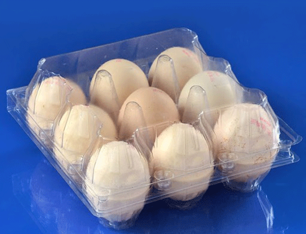 آخرین قیمت تخم مرغ بسته بندی شده در بازار