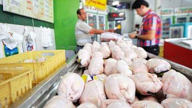 افزایش قیمت مرغ به دلیل کاهش سرمایه گذاری در بازار