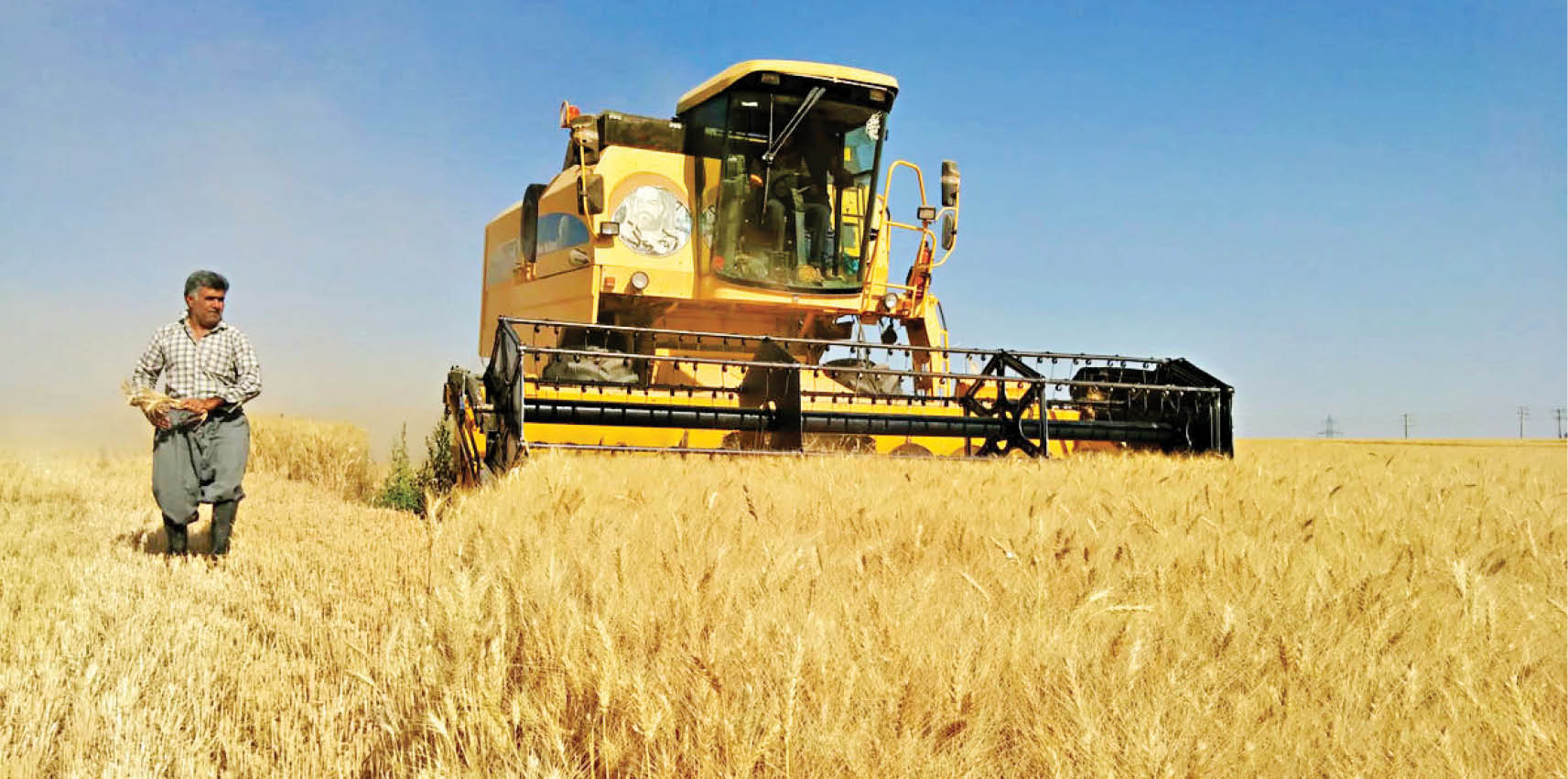 کابوس دولتی ها؛ قیمت گندم در بازارهای جهانی افزایش پیدا می کند؟