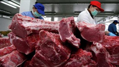 قیمت گوشت در ایران نسبت به جهان بالاتر است