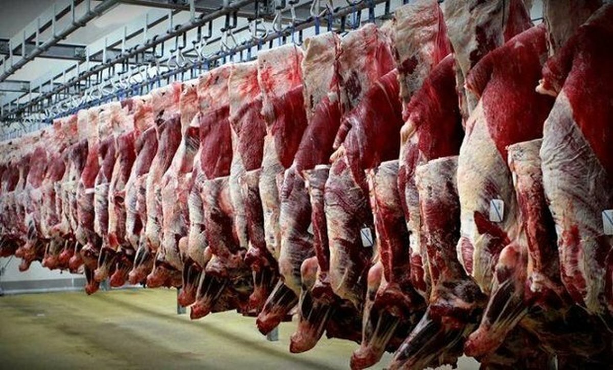 قیمت گوشت قرمز در بازار به نیم میلیون رسیده است