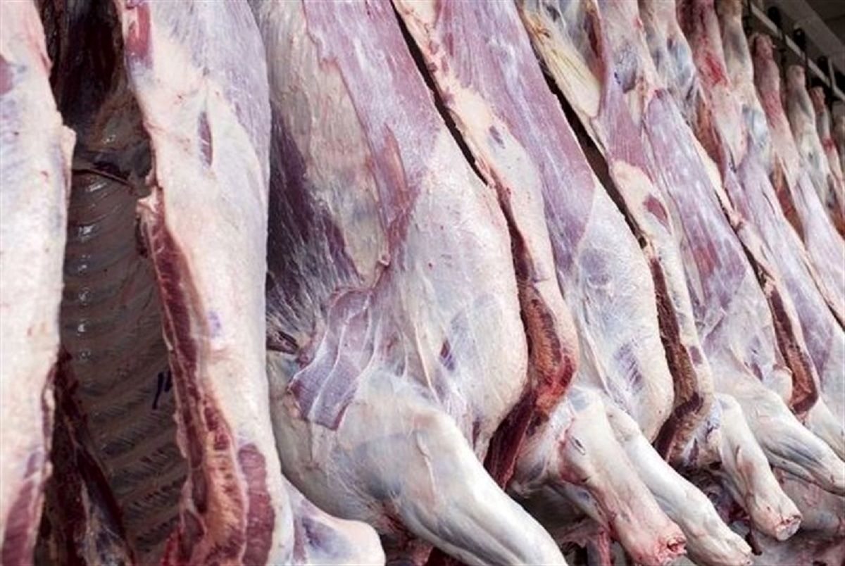 آخرین قیمت هر کیلو گوشت گوسفندی در بازار