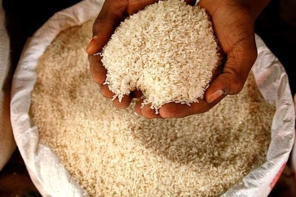 دلالان برنج