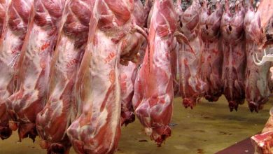 گوشت گوسفندی چرا دوباره گران شد؟