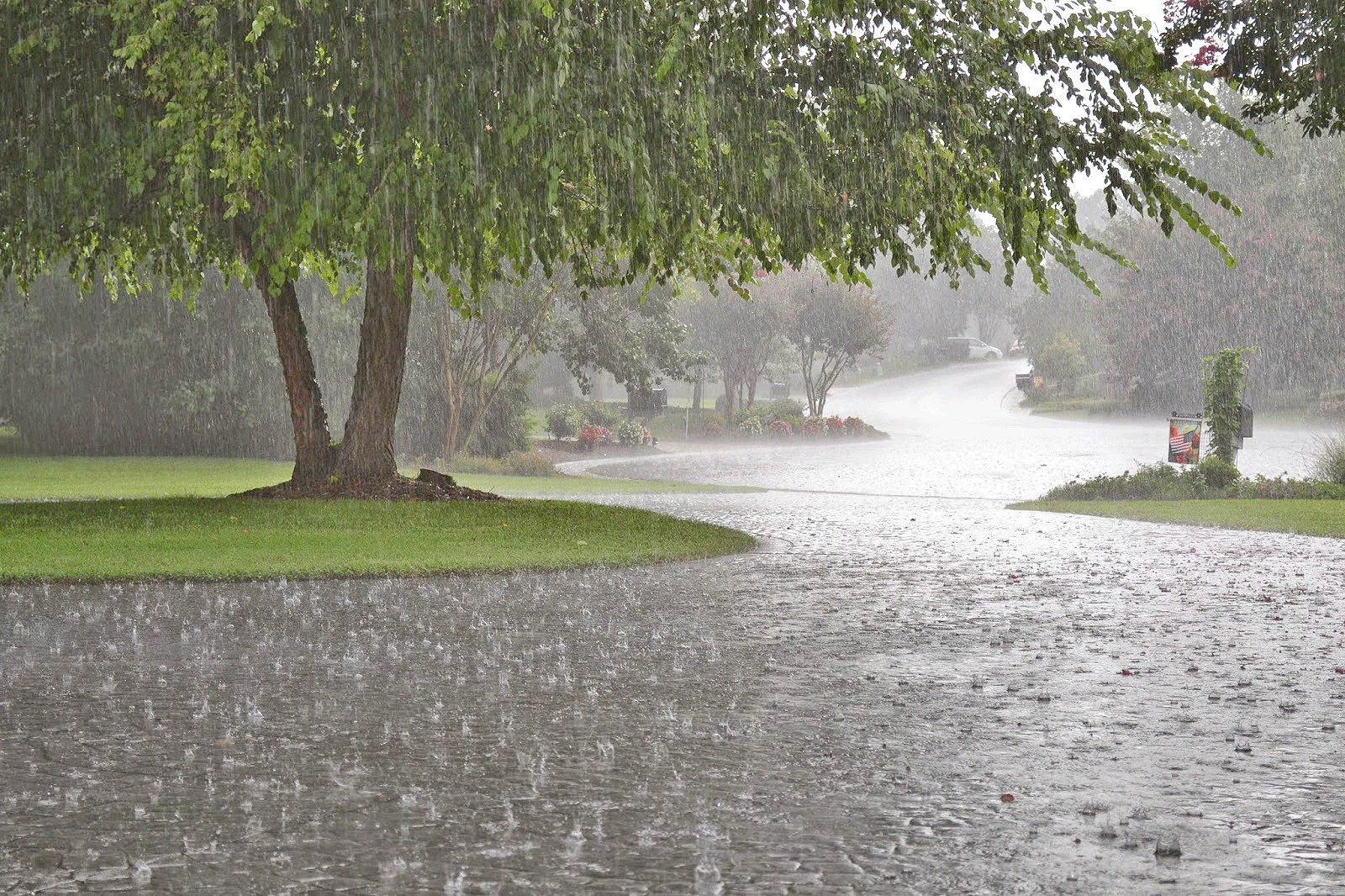 بارش باران در استان های شمالی کشور
