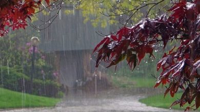 پاییز و زمستان پیش رو پر بارش پیش بینی می شود