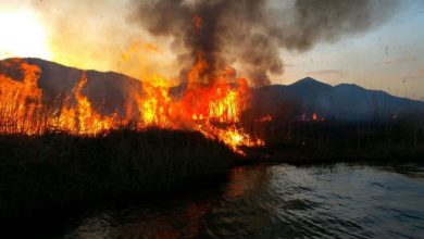 آتش سوزی جنگل های مریوان شدت گرفت