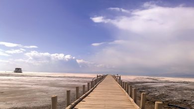 دریاچه ارومیه زنده است؟