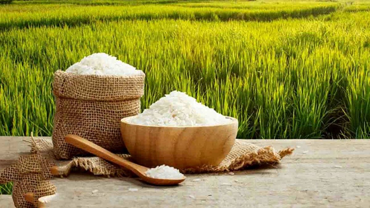 قیمت خرید توافقی برنج مشخص شد