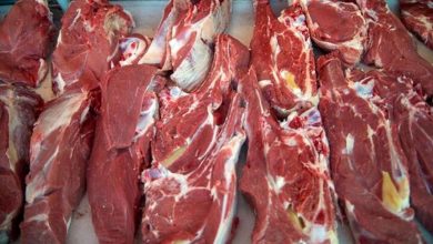 ریزش قیمت گوشت قرمز در بازار