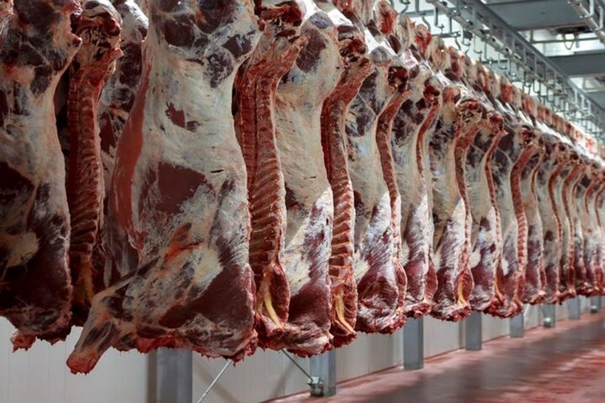 تهدیدی جدی برای بازار گوشت قرمز