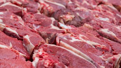قیمت گوشت با واردات روزانه ۱۲۰ تنی کاهش می‌یابد